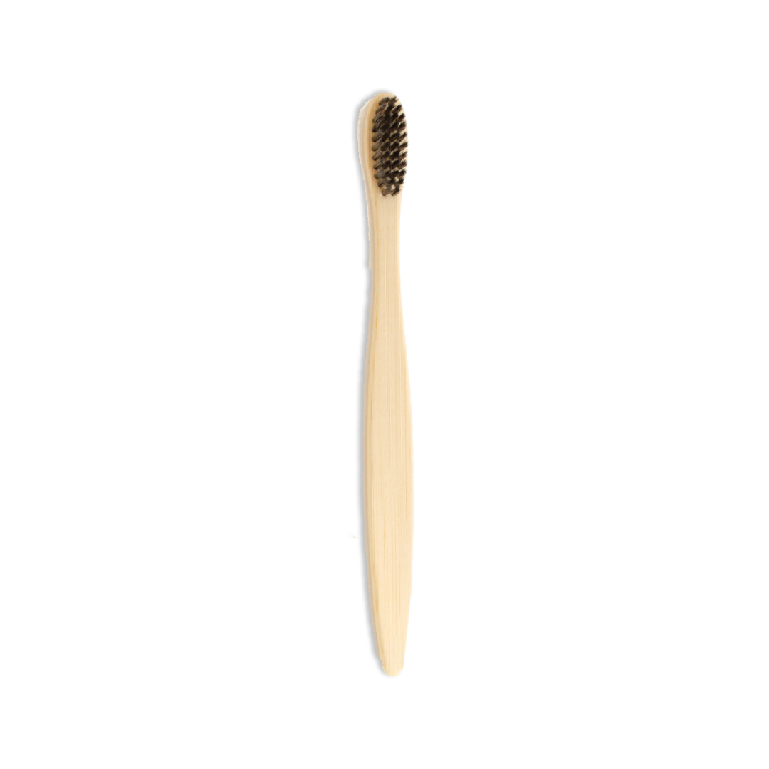 Stay Fresh Eco Box | Zero-Waste Dental Kit