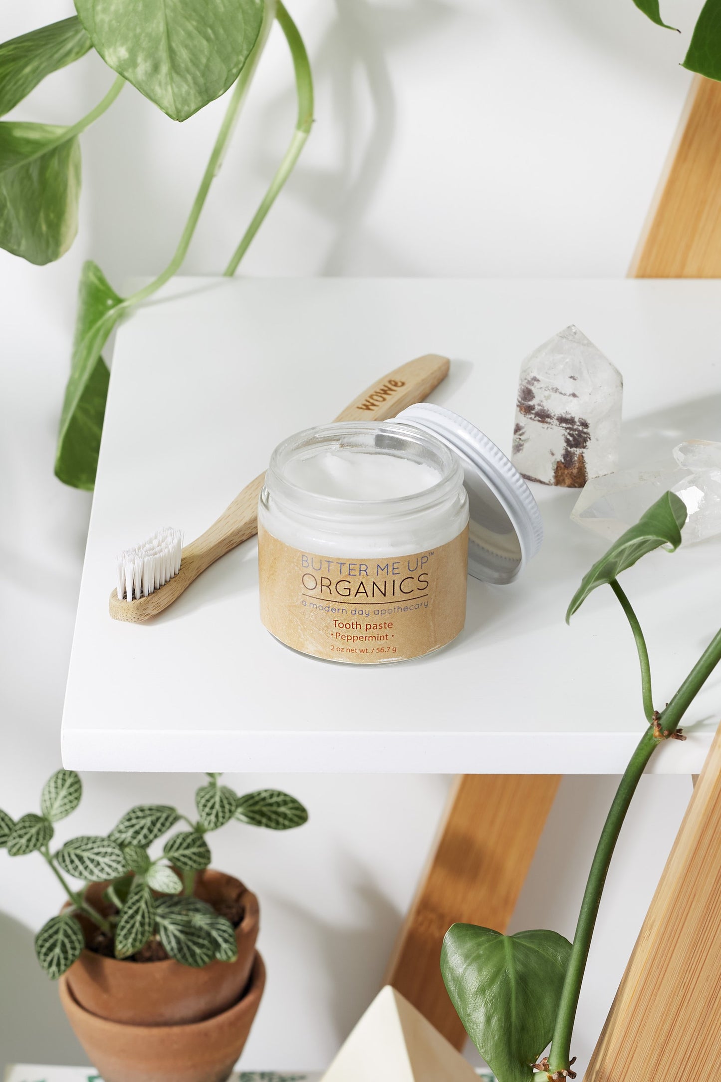 All Natural Organic Toothpaste